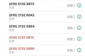 青秀要账公司更多成功案例详情